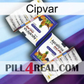Cipvar 12